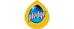 pledge
